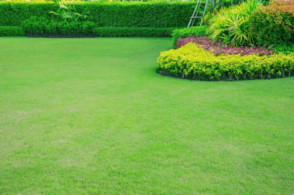 Lawn Topdressing